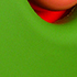 steve novick green button 2007